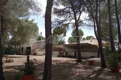 Landejendom i Ayora, Valencia, Ayora - € 186.000 | Ref: SF0459 - foto 29